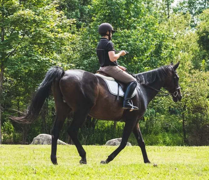 Polos-Reitsport